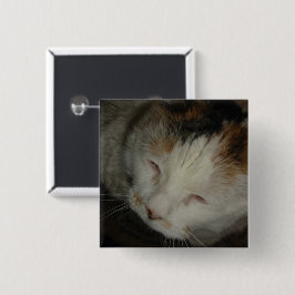 Sleepy Calico Cat Button