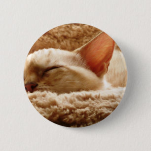Sleepy Cat Button