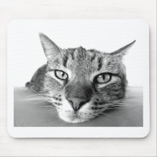 Sleepy Cat Mousepad