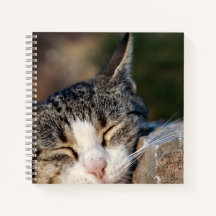 Sleepy Cat Spiral Notebook