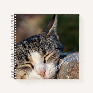 Sleepy Cat Spiral Notebook Notizbuch