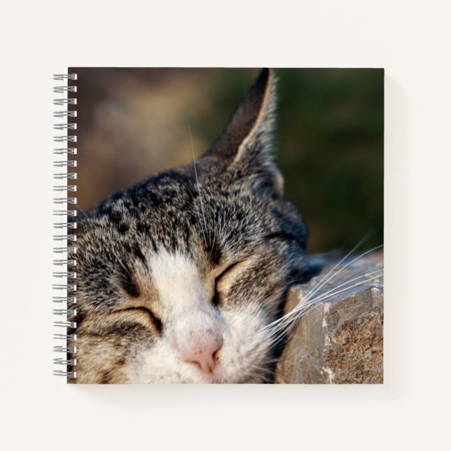 Sleepy Cat Spiral Notebook Notizbuch (Vorderseite)