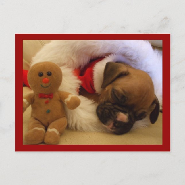 Sleepy Christmas Boxer Puppy-Postkarte Feiertagspostkarte (Vorderseite)