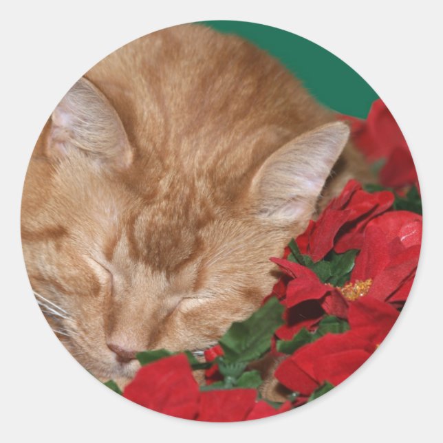 Sleepy Christmas kitty Runder Aufkleber (Vorderseite)