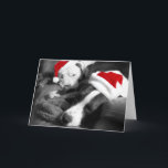 Sleepy Christmas Pitbull Puppies Süßes Santa Feiertagskarte<br><div class="desc">What is cuter than these two pitbull puppies sleeping in their santa hats? nothing!</div>