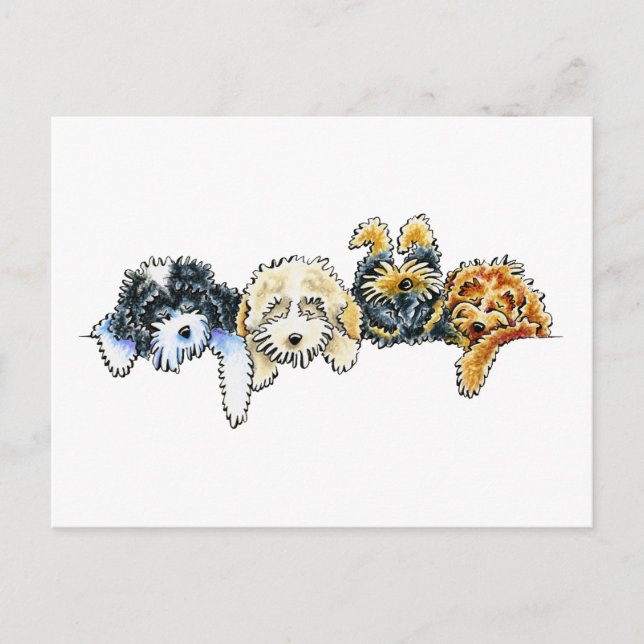 Sleepy Cockapoos Postkarte (Vorderseite)