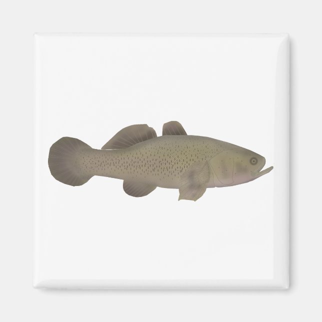 Sleepy Cod Magnet (Vorne)