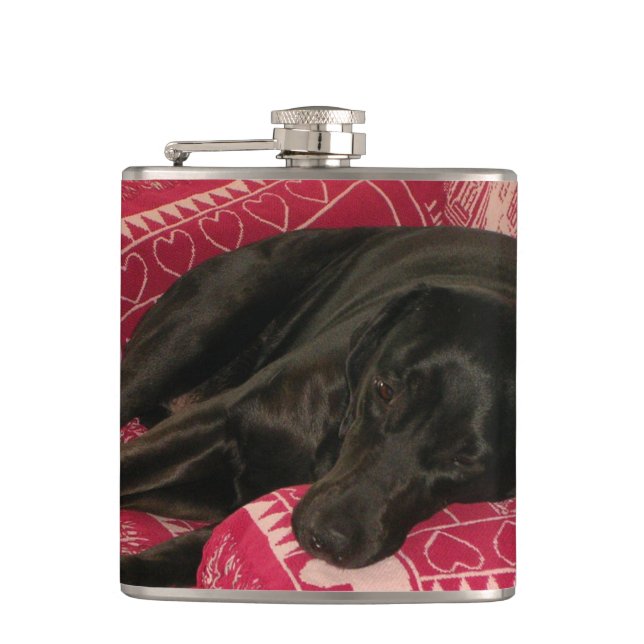 Sleepy Dog Flask Flachmann (Vorderseite)