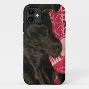 Sleepy Dog iPhone 5 Fall Case-Mate iPhone Hülle