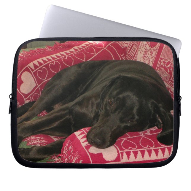 Sleepy Dog Laptop Sleeve (Vorderseite)