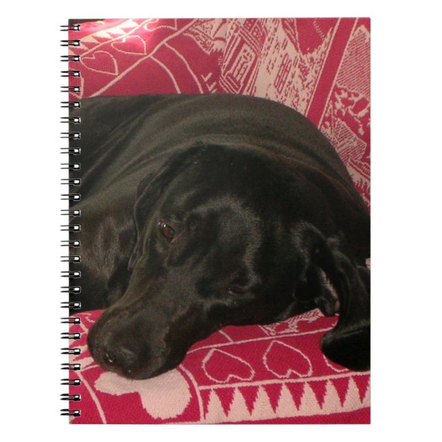 Sleepy Dog Notebook Notizblock (Vorderseite)