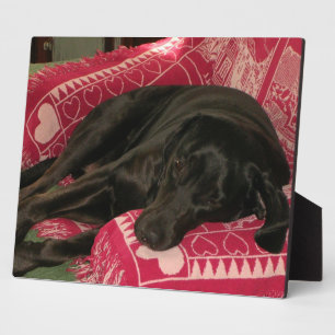 Sleepy Dog Plaque Fotoplatte