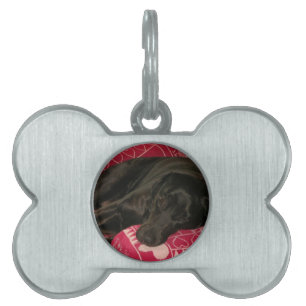 Sleepy Dog Tag Tiermarke