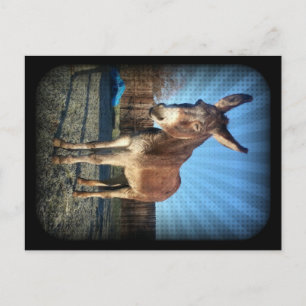 Sleepy Donkey Postkarte