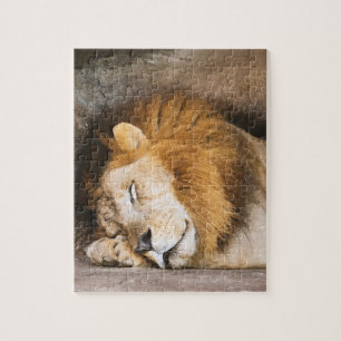 Sleepy Dreaming Adult Lion on Rocks Puzzle