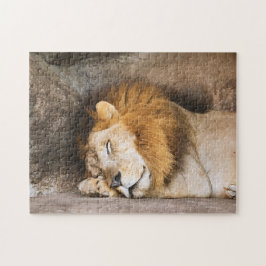 Sleepy Dreaming Adult Lion on Rocks Puzzle