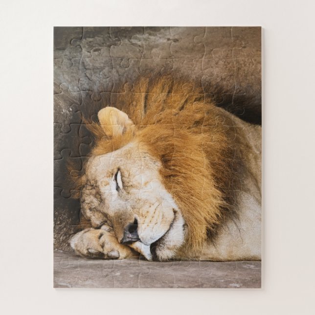 Sleepy Dreaming Adult Lion on Rocks Puzzle (Vertikal)