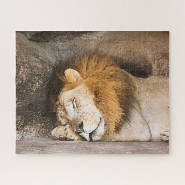 Sleepy Dreaming Adult Lion on Rocks Puzzle (Horizontal)
