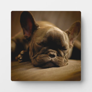 Sleepy French Bulldog Fotoplatte