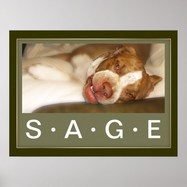 Sleepy Girl Poster (Vorne)