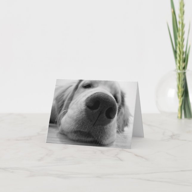 Sleepy Golden Karte (Vorderseite)