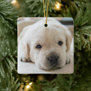 Sleepy Golden Labrador Puppy Keramikornament
