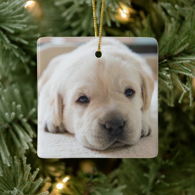 Sleepy Golden Labrador Puppy Keramikornament (Baum)