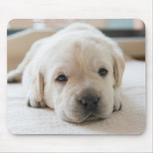 Sleepy Golden Labrador Puppy Mousepad