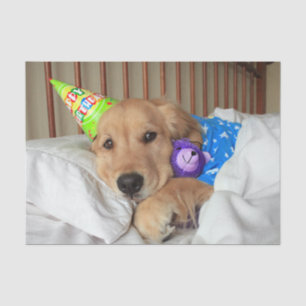Sleepy Golden Retriever in Pajamas Geburtstag Seidenpapier