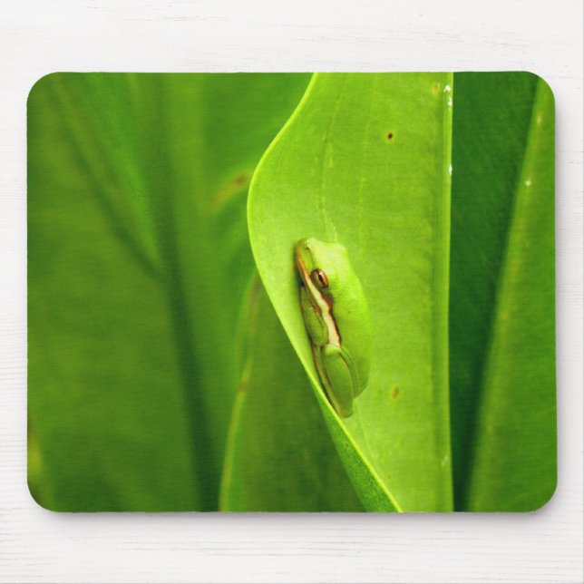 Sleepy Green Frog Mousepad (Vorne)