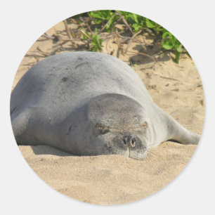 Sleepy Hawaiian Monk Siegel Runder Aufkleber