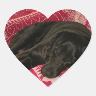 Sleepy Hund Sticker Set