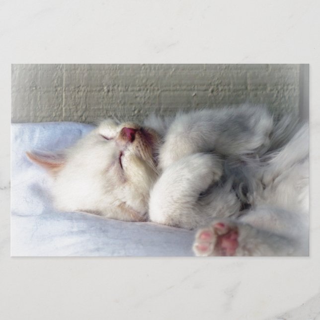 Sleepy Kitten Briefpapier (Vorderseite)
