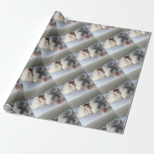 Sleepy Kitten Geschenkpapier