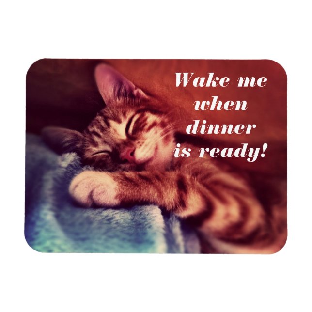 Sleepy Kitten Magent Magnet (Horizontal)