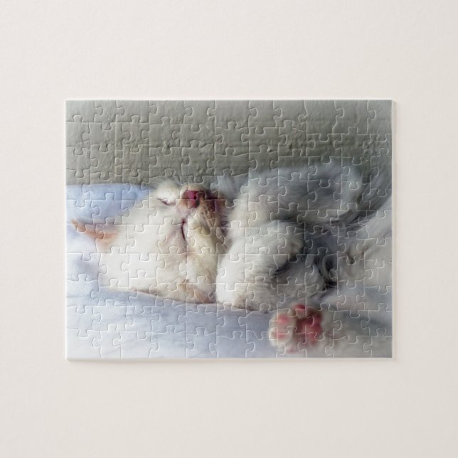 Sleepy Kitten Puzzle (Horizontal)