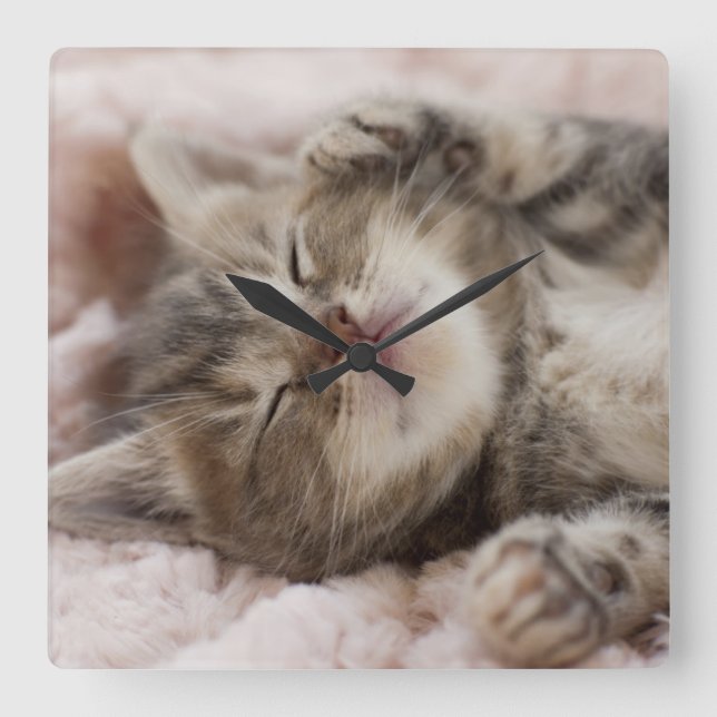 Sleepy Kitten Quadratische Wanduhr (Vorderseite)