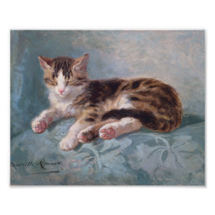 Sleepy Kitten von Henriette Ronner-Knip Fotodruck