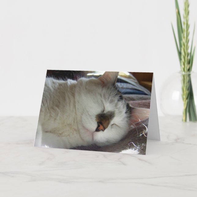 Sleepy kitty Birthday Karte (Vorderseite)