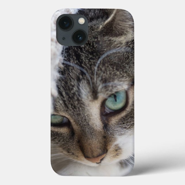 Sleepy Kitty Case-Mate iPhone Hülle (Rückseite)