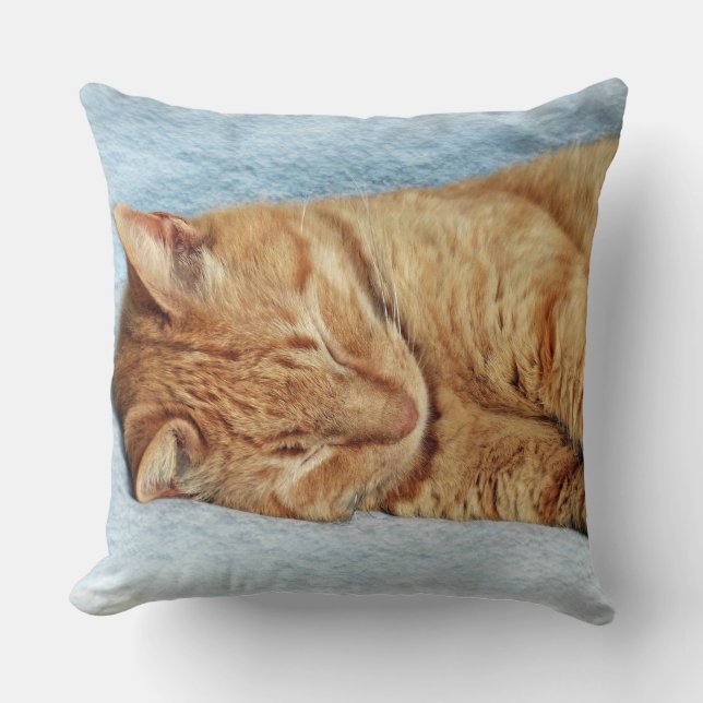 Sleepy Kitty Kissen (Vorderseite)