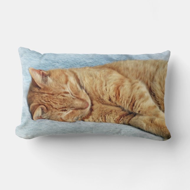 Sleepy Kitty Lendenkissen (Vorderseite)