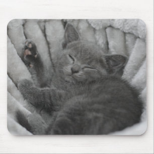 Sleepy kitty mousepad
