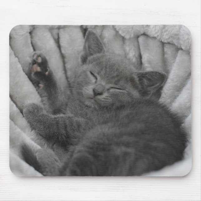 Sleepy kitty mousepad (Vorne)
