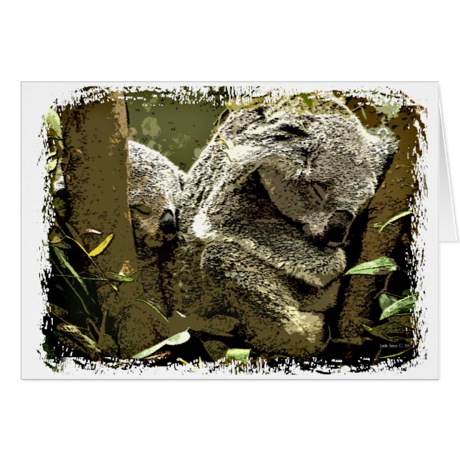 Sleepy Koalas (Vorderseite (Horizontal))