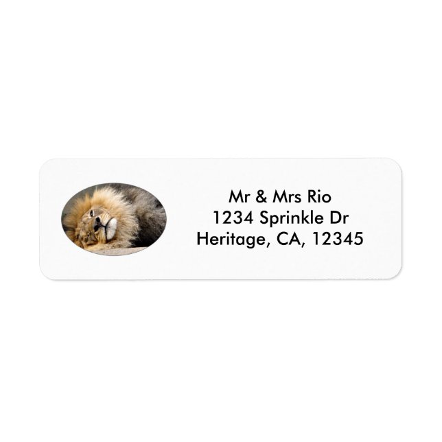 Sleepy Lion Wink Address Label (Vorne)