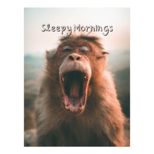Sleepy Mornings - gähnender Affe  Fotodruck
