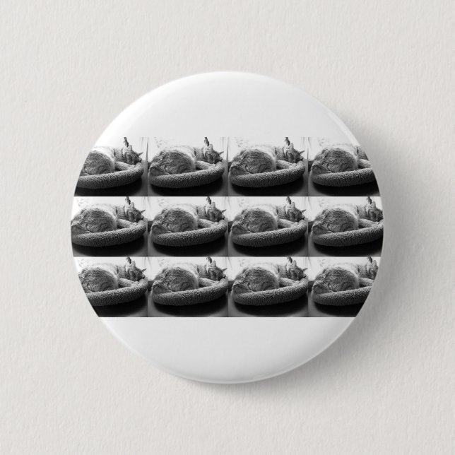 Sleepy Orange Tabby Cat/Black/White Foto Button (Vorderseite)