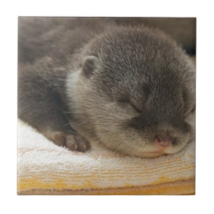 Sleepy Otter Fliese