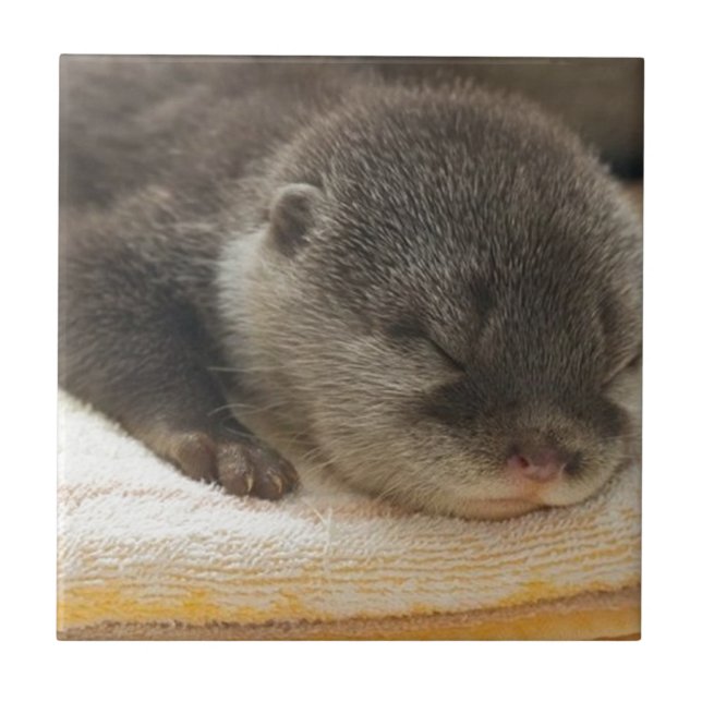 Sleepy Otter Fliese (Vorderseite)